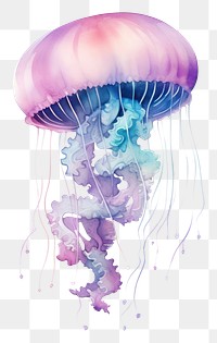 PNG  Galaxy element of jellyfish in Water color style white background invertebrate transparent.