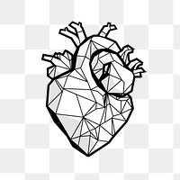 PNG Human heart drawing sketch line.