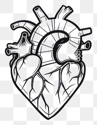 PNG Human heart drawing sketch line.