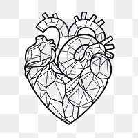PNG Human heart drawing sketch doodle.