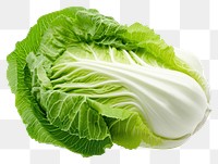 PNG Chinese cabbage vegetable white plant.