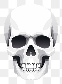 PNG  Huma skull white white background halloween.