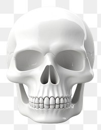PNG  A skull white anthropology monochrome.