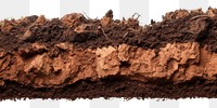 PNG A section of Soil soil white background sachertorte.
