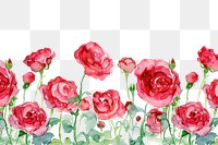 PNG Blooming redroses garden pattern flower nature.