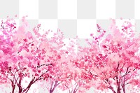 PNG Blooming sakura trees backgrounds outdoors blossom.