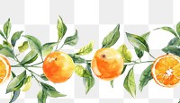 PNG Oranges grapefruit plant food.