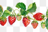 PNG Strawberries and strawberry leaves fruit plant food.