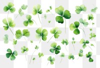 PNG Green shamrocks on a white background backgrounds plant green.