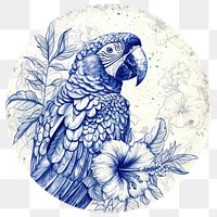 PNG  Frame of parrot with flower drawing sketch animal.