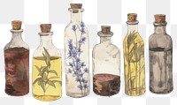 PNG  Illustratio the 1970s of essential oils bottle glass herbs.
