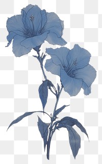 PNG Illustration of a Allamanda blue painting drawing flower.