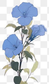 PNG Illustration of a Allamanda blue drawing flower sketch.