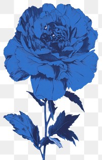 PNG Illustration of a blue flower plant inflorescence creativity.