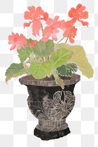 PNG Illustration of a Flower Pot flower plant leaf.