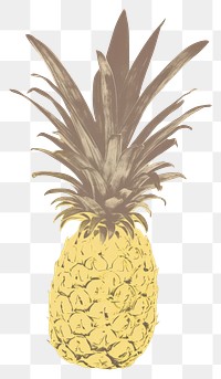 PNG Illustration of a pineapple fruit plant food.