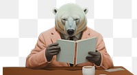 PNG  Bear book reading paper collage. AI generated Image by rawpixel.