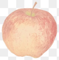 PNG Illustration of red apple plant food freshness.