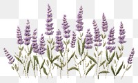 PNG Embroidery floral frame Lavender lavender.
