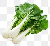 PNG Bok Choy vegetable food organic.