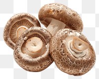 PNG Shiitake Mushrooms mushroom vegetable fungus.