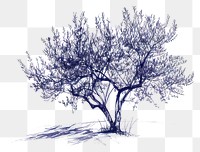 PNG  Drawing spring tree sketch plant tranquility.