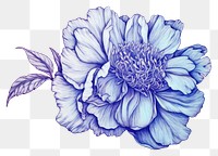 PNG  Drawing peony sketch flower dahlia.