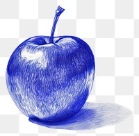 PNG  Drawing apple sketch fruit plant.