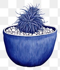 PNG  Drawing plant in plant pot sketch erinaceidae houseplant.