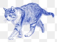 PNG  Drawing cat walking sketch animal mammal.