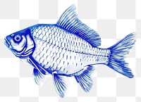 PNG  Drawing fish animal sketch blue