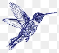 PNG  Drawing humming bird hummingbird animal sketch.