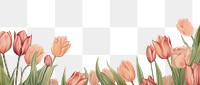 PNG  Realistic vintage drawing of tulip border backgrounds flower plant.