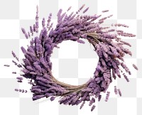 PNG Lavender wreath craft flower.