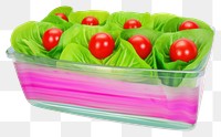 PNG  Surrealistic painting of salad food white background container.