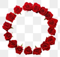PNG Circle frame red roses flower plant white background.