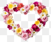 PNG Shape frame floral colorfull roses and daisy pattern flower petal.