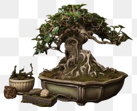 PNG  Potted plant porcelain pottery bonsai tree potted plant houseplant. AI generated Image by rawpixel.