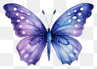 PNG  Butterfly in Watercolor style animal insect white background