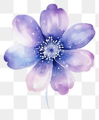 PNG  Galaxy element of flower in Watercolor blossom petal plant.