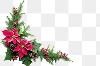 PNG  Christmas corner arrangement christmas flower plant.