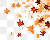 PNG Maple leaves fall backgrounds plant leaf. AI generated Image by rawpixel.