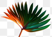 PNG  Neon of green palm leaf plant accessories fragility. AI generated Image by rawpixel.