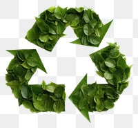 PNG Recycle icon green plant leaf.