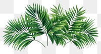 PNG  Summer tropical vector vegetation nature plant