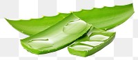 PNG  Aloe Vera plant leaf aloe. AI generated Image by rawpixel.
