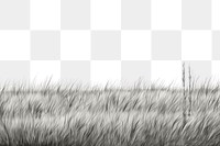 PNG Border graphic of Grass field grass outdoors drawing. AI generated Image by rawpixel.