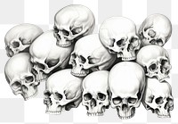 PNG Skulls drawing sketch anthropology