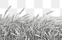 PNG Wheat fields drawing sketch plant. AI generated Image by rawpixel.
