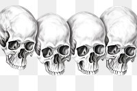 PNG Skulls drawing sketch illustrated. AI generated Image by rawpixel.